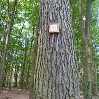 Markierungszeichen entlang des Wanderweg
