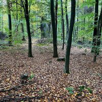 Auf dem Westwall Weg unterwegs