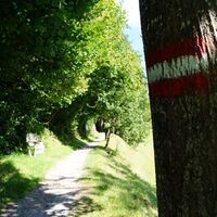 Söll_Dorfrunde_Wegmarkierung_Wilder Kaiser