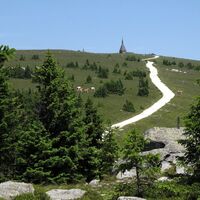 Weg auf den Hochwechsel_Mönichwald_Oststeiermark