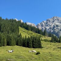 Willi-Schwaiger-Weg