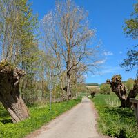 VitalWeg 2, Bank, Weg, Brücken, Grenzen, Radweg, Rundweg 
