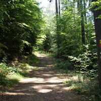 Panoramasteig bei Morsbach