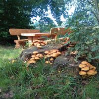 Rastplatz am Naturerlebnispfad Guttauer Teiche