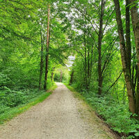 BahnlinieSchweppermannradweg