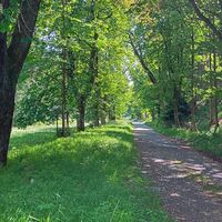 Alte Pass- und Poststraße zwischen Ohrdruf und Oberhof
