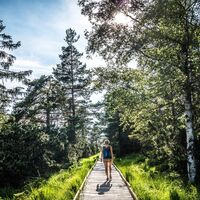 Wanderer im Wildseemoor am Kaltenbronn