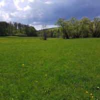 Landschaft
