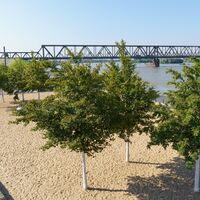 Blick auf die Hochfelder Eisenbahnbrücke im Rheinpark