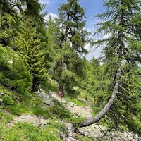 auf dem Wäg zum Bättchrizji