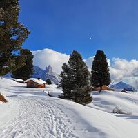 Auf dem Weg zur Canvere