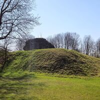 Burgruine Sachsendorf