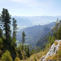 nach dem kuriosen Aufstieg durch den steileren Wald gelangt man zu einem flacheren Teil