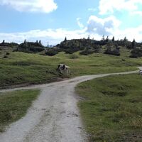 Abgang von der Sonnschienalm