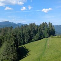 Idyllischer Ausblick bei Mühlenbach