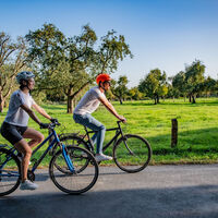 Fahrradfahrer vor Streuobstwiese in der Momm-Niederung