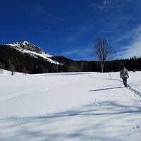 Der ausgetretene Abschnitt von Leopichl hinauf zur Rettensteinhütte.