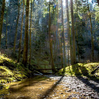 Mildersbachtalrundweg