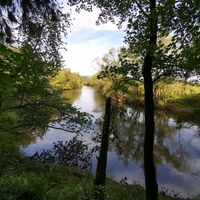 Blick auf die Saale