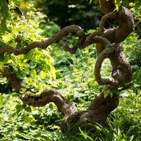 laasrunde_img_42296785