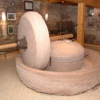 Beerewei(n)museum Eulenbis