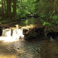 Bachlauf_Oststeiermark