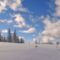 Neuschnee und Sonne ein wahrer Genuss
