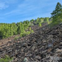 Peridotite