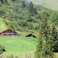 Brandneralm