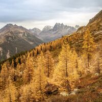 Wanderung Alp Gues