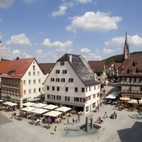 Nagold von oben