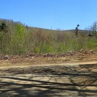 Am Weg zum Pfaffstättner Kogel