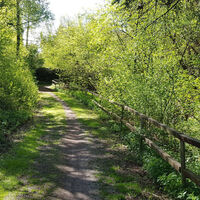 Fitnessrunde Mutlangen 3