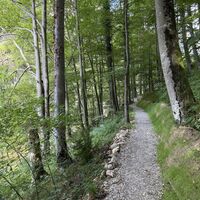 Auch die Wegböschungen haben Antirutsch-Beschläge aus Naturmaterialien erhalten -- sehr gediegen!