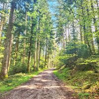 Wanderung Oberwarngau Taubenberg