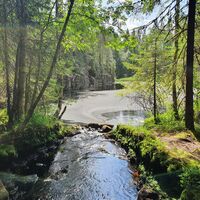 Der Bach bildet ein Becken in der zerklüfteten Felswand des Bear Creek.