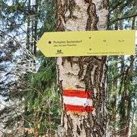 Gut markierte Wegkreuzungen