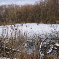 Biererlebnisweg Velburg