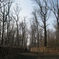 Heuberg und Jubiläumswarte