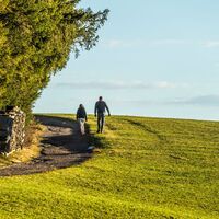 Wanderweg zwischen St. Peter und St. Märgen
