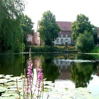 Wandern auf dem Mühlenweg am Wiehengebirge