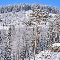 Schlag unterhalb der Jochart