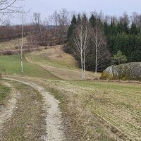 Granitblock bei Pernthon