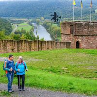 Taubertal_Freudenberg