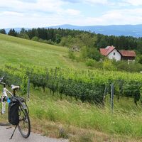 Drei-Märkte Tour, Aussichtspunkte und Weingärten