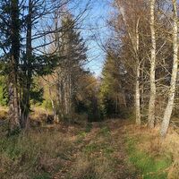 Der "verwunschene Trail"