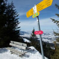 Schneeschuhtrail-Panoramawegtrail