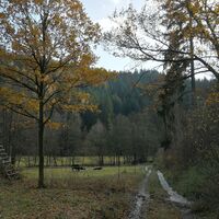 In den Tälern von Dreba und Plothenbach
