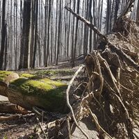 19.2 km "Urwald" Spadenberg