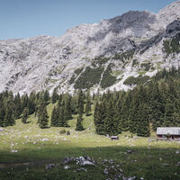 Sulzkaralm